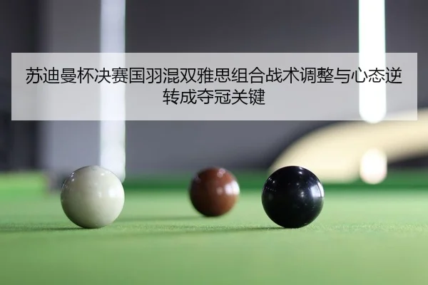 苏迪曼杯决赛国羽混双雅思组合战术调整与心态逆转成夺冠关键