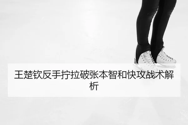 wang-chu-qin-fan-shou-ning-la-po-zhang-ben-zhi-he-kuai-gong-zhan-shu-jie-xi-2-336.jpg